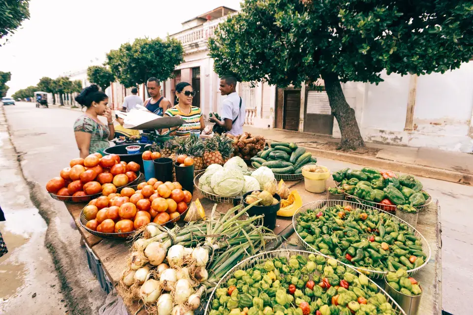 Discovering Cottleville's Charm in Cottleville
